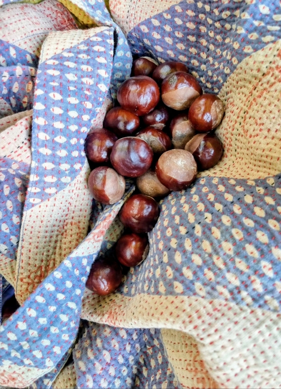 Vintage Kantha Totebage + pouch